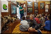 IMG_20170602_093253.jpg