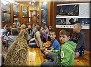 IMG_20170602_093627.jpg