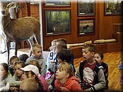 IMG_20170602_093821.jpg