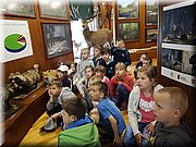 IMG_20170602_093948.jpg