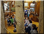 IMG_20170602_094537.jpg