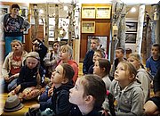 IMG_20170602_094946.jpg