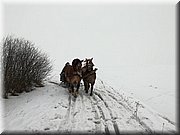 kulig01.jpg