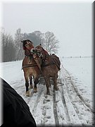 kulig02.jpg