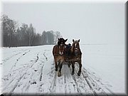 kulig03.jpg