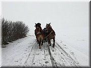 kulig04.jpg