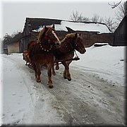 kulig05.jpg