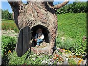 IMG_1410.JPG