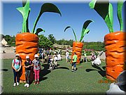 IMG_1425.JPG