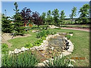 IMG_1427.JPG