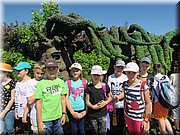IMG_1429.JPG