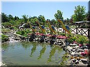 IMG_1439.JPG