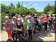 IMG_1448.JPG