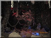 IMG_1460.JPG