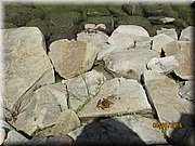 IMG_1466.JPG