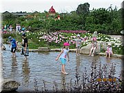 IMG_1471.JPG