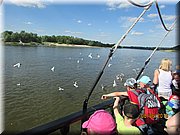 IMG_1547.JPG