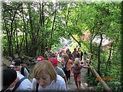 IMG_1548.JPG