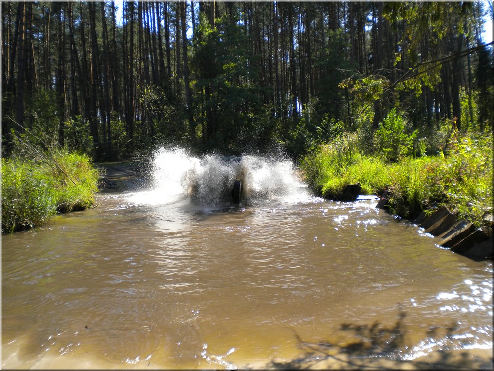 DSCN4477.JPG