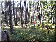 DSCN4426.JPG