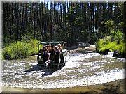 DSCN4474.JPG