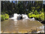DSCN4477.JPG