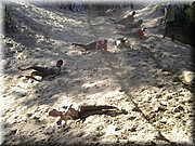 DSCN4498.JPG