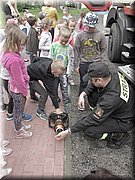 IMG_3074.JPG