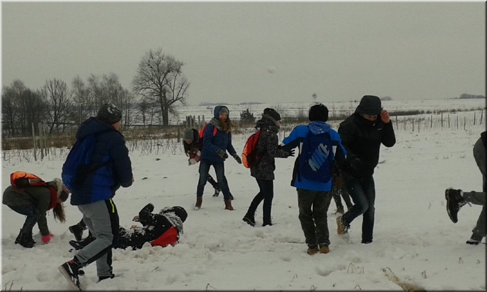 20170201_124623.jpg