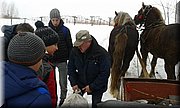 20170201_114349.jpg