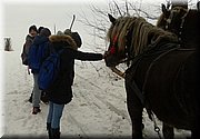 20170201_114441.jpg