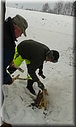 20170201_114600.jpg