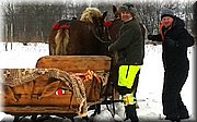 20170201_124659.jpg