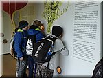 22maja 158.jpg