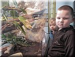 IMG_2884.JPG