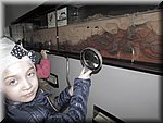 IMG_2888.JPG
