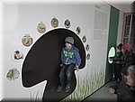 IMG_2898.JPG