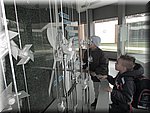 IMG_2917.JPG