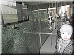 IMG_2921.JPG