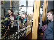 DSC_0745.jpg
