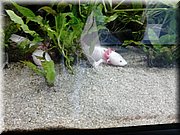 DSC_0748.jpg