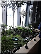 DSC_0752.jpg