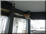 DSC_0763.jpg