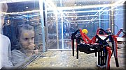 20171009_104747.jpg