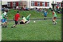 DSC_0258.JPG