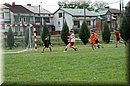 DSC_0352.JPG