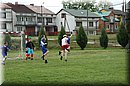 DSC_0415.JPG