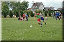 DSC_0503.JPG