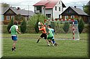 DSC_0523.JPG