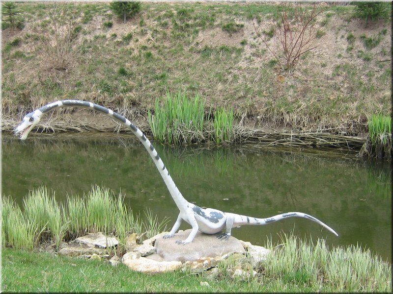 precz-nalogi063.JPG